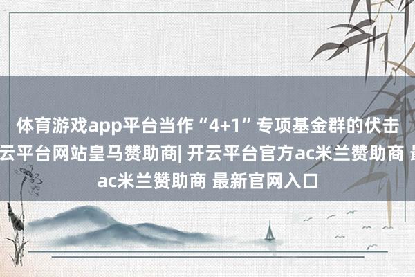 体育游戏app平台当作“4+1”专项基金群的伏击构成部分-开云平台网站皇马赞助商| 开云平台官方ac米兰赞助商 最新官网入口